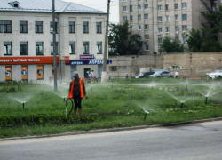 Это отлично, что взялись поливать клумбу на площади Героя России - камышанина, но не пора ли выполоть траву? - камышанка