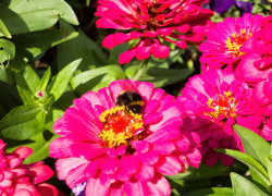 Теплынь и магнитные бури: погодная повестка для камышан на 8 августа