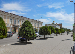 В Камышине обновили стрижки молодым деревьям на улице Октябрьской