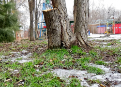 Снежно-дождевые тучи приближаются к Камышину при температуре около нуля (ВИДЕО)