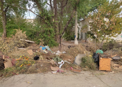 Третью неделю растут "баррикады" из мусора - уже пройти невозможно! - камышанка