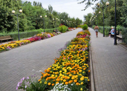 Администрация Камышина решила прокомментировать, что изменится в парке Комсомольцев-добровольцев после реновации