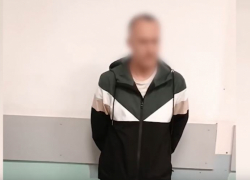 Москвич «разводил» в соцсетях 8-летнюю девочку на интимное видео и попал в СИЗО (ВИДЕО)