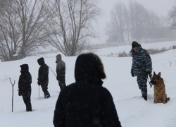 Новостей в поисках исчезнувшей сельской школьницы на этот момент нет: полиция продолжает прочесывать лесостепь под Чухонастовкой в Камышинском районе