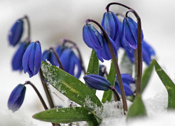 Солнце и +17: погода в Камышине 15 марта