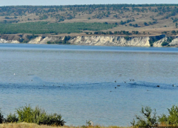 В Камышинском районе у Бутковки на Волге всплыло тело пропавшего еще летом рыбака