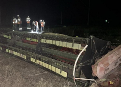 В Камышинском районе поезд снес комбайн
