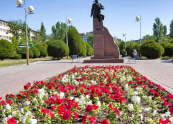 26-градусная жара накрывает Камышин