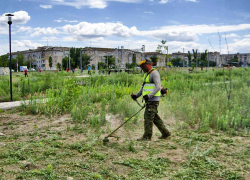 После критических заметок "Блокнота Камышина" в заросшем сорняками парке Текстильщиков начался покос