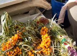 В Роспотребнадзоре камышанам велели съедать каждый день 400 граммов овощей, ягод и фруктов, чтобы устоять перед гриппом и ОРВИ