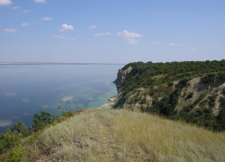 Редким животным и птицам понравилась "прописка" в природном парке "Щербаковский" в Камышинском районе