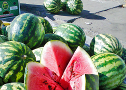 В Камышине на финише сентября арбузы прекратили дешеветь и продаются по 25 рублей за килограмм