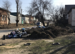 Почему за пару дней на улице Лазарева в Камышине выросла гора мусора