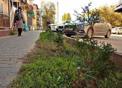 В Камышине мошенницы нагло прикинулись контролерами теплых батарей и похитили у наивных бабушек крупные денежные суммы "из сервантов"