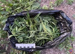 В Камышине по улице Зеленой прогуливались персоны с пакетом марихуаны