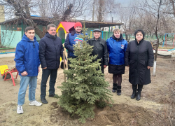 Жители Волгоградкой области назвали замаливанием грехов акцию единороссов с высадкой елок