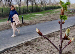 Природный парк "Щербаковский" едет в гости в Камышин: встречи у "ДК "Текстильщик" и в парке Текстильщиков 29 апреля