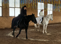 Полицейские Камышина организовали для детей удивительный праздник с показательными выступлениями по верховой езде