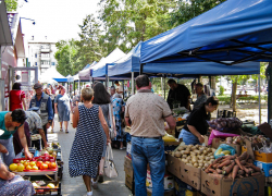 Администрация Камышина напомнила, на сколько могут быть оштрафованы торговцы на несанкционированных рынках