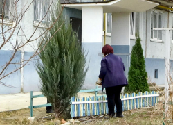 На сайте администрации Камышина сообщили, жителям каких домов надо приготовиться завтра, 17 марта, сидеть без света