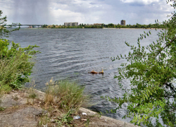 Предлагаю властям Камышина подумать об обустройстве нового места для купания у старого речпорта, - камышанка (ВИДЕО)