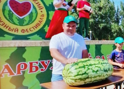 Камышинский бахчевод Алексей Степанов и его 50-килограммовый плод стали сенсацией Арбузного фестиваля