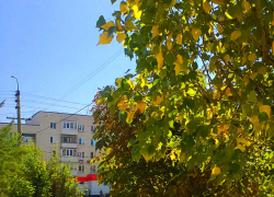 1 сентября в Камышине пройдет под дождем?