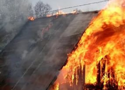 Немного тепла с ветром и дачи  в Камышине горят одна за другой