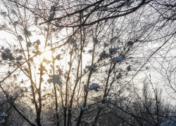 Саратовскую трассу закрыли в Камышинском районе из-за сильного тумана 