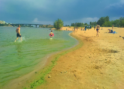 Необустроенное место для купания у администрации Камышина горожане называют "пляжем зеленого болота", но продолжают плавать