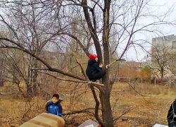 "Строим спортплощадки и открываем кружки, а школьники проводят каникулы "дикарями", - камышанка