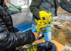 Морозы вернутся в Камышин перед 8 Марта: погодная повестка на конец недели