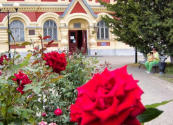 Летние температуры и магнитный шторм: погода в Камышине 11 сентября