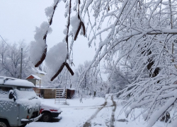 В Камышине сегодня, 22 февраля, вечером начнется небольшая метель, которая в воскресенье перейдет в снегопад на весь день