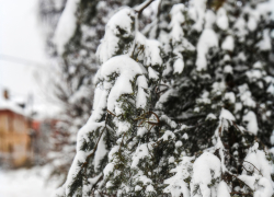 Морозы крепче 20 градусов ударили в Камышине