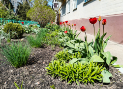 В каких домах в Камышине наметили отключить свет и воду сегодня, 21 апреля