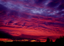 В центральной городской больнице Камышина скончался мужчина - предположительно от передозировки алкоголя