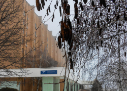 "Ноль", снегодождь и геомагнитный шторм: погода в Камышине 9 января