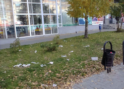 "Господа администрация, скоро день святого покровителя Камышина - не пора ли немного убраться в центре?"