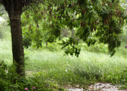 Мощный шторм и град надвигаются на Волгоградскую область