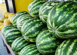 В Камышине продавцы арбузов еще на 5 рублей сбросили цену на полосатую ягоду