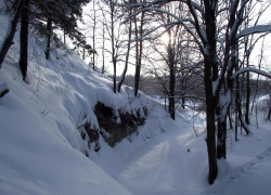 Оперативники задержали молодую пару, которая зверски убила пенсионерку и пыталась сжечь ее тело в овраге