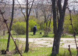 Владельцы псов продолжают превращать парк Текстильщиков в собачий туалет, - камышанка