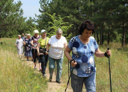 Чем занимались в камышинском лесопитомнике "бабушки в дозоре"