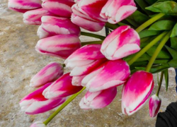 "Меня поздравили, и особо тронула фраза, сказанная с поклоном: "За сына"...