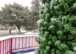 Власти Камышина рассказали, куда можно прийти в новогоднюю ночь и на новогодних каникулах