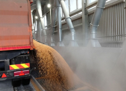 ООО «Камышинская зерновая компания» названа среди лидеров по мощностям для хранения зерна в Волгоградской области 