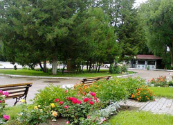 Центральный городской парк Камышина решил прикупить себе лебединое озеро