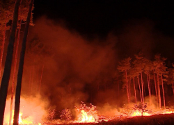 Управление МЧС по Волгоградской области прислало камышанам смс-сообщения, что область может вспыхнуть