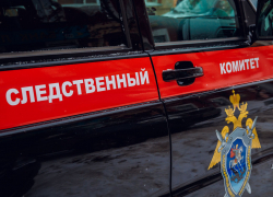 Следователи Камышинского следственного отдела закончили расследование уголовного дела в отношении жителя Петрова Вала, от кулаков которого скончалась в больнице его пожилая мать